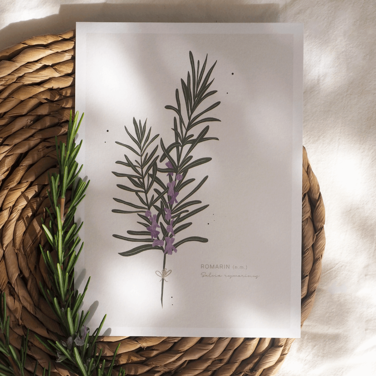 Mini Affiche "Romarin" – Image 2