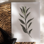 Mini Affiche "Sauge" – Image 2