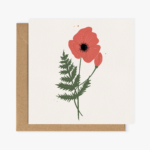 Carte de voeux "Coquelicot"