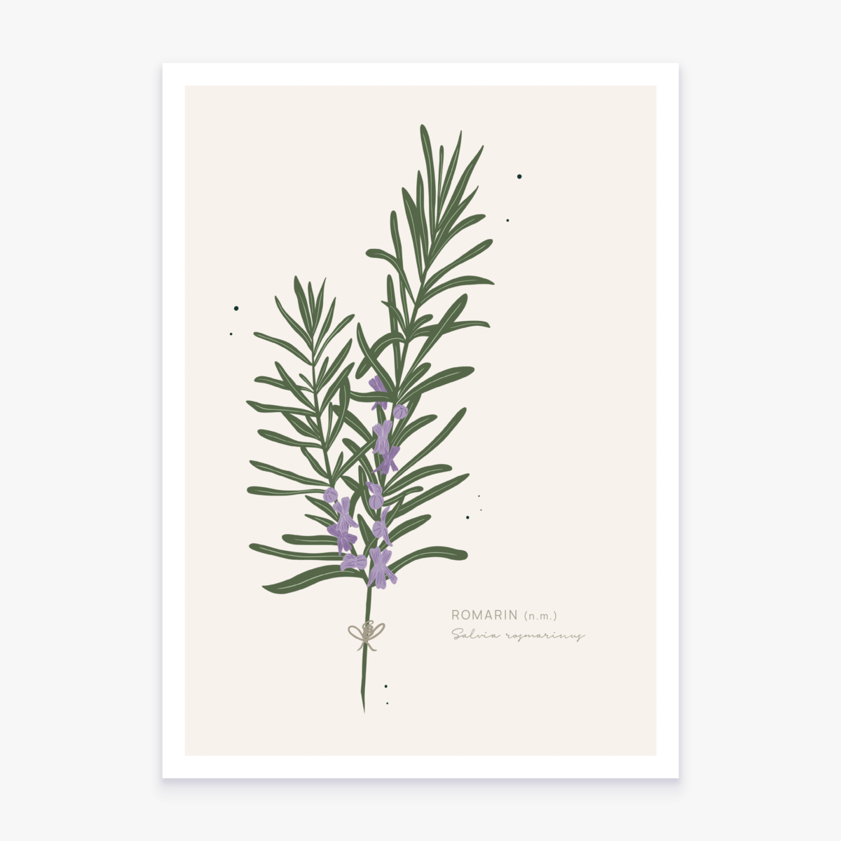 Mini Affiche "Romarin"
